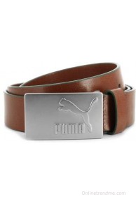 Puma Men Tan Belt(Tan, Posy Green, Matt Silver)